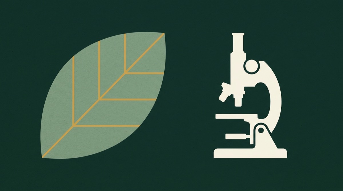 Cómo aprobar Biología: método para las asignaturas de comprender y memorizar